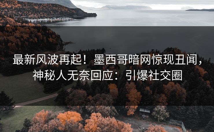 最新风波再起！墨西哥暗网惊现丑闻，神秘人无奈回应：引爆社交圈