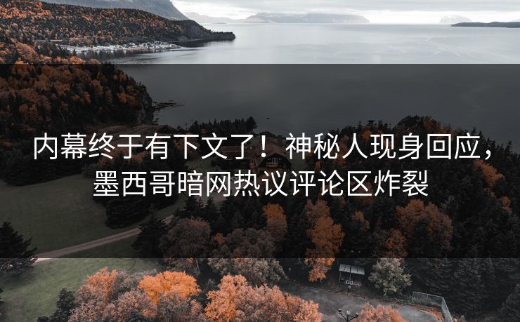 内幕终于有下文了！神秘人现身回应，墨西哥暗网热议评论区炸裂