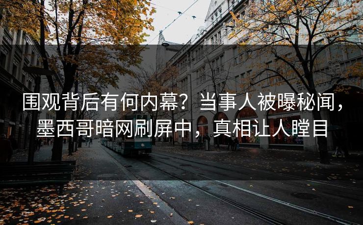 围观背后有何内幕？当事人被曝秘闻，墨西哥暗网刷屏中，真相让人瞠目
