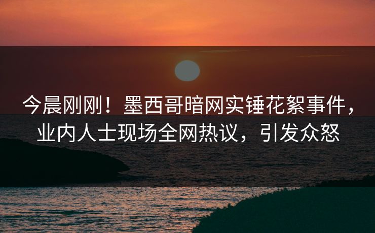 今晨刚刚！墨西哥暗网实锤花絮事件，业内人士现场全网热议，引发众怒