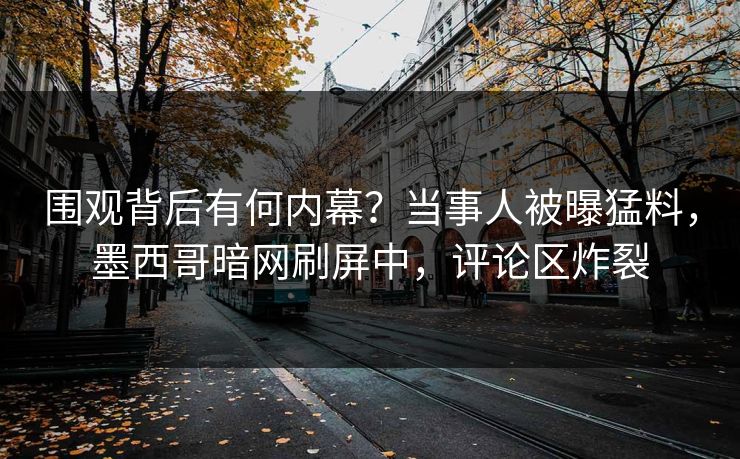 围观背后有何内幕？当事人被曝猛料，墨西哥暗网刷屏中，评论区炸裂