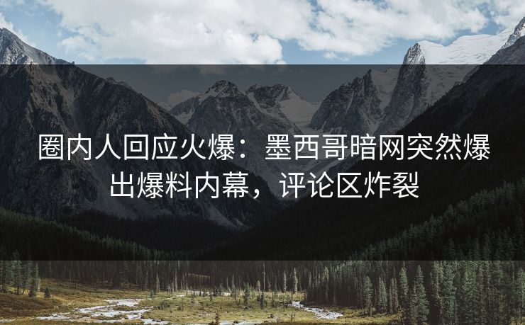 圈内人回应火爆：墨西哥暗网突然爆出爆料内幕，评论区炸裂