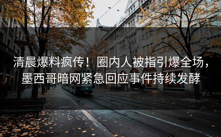 清晨爆料疯传！圈内人被指引爆全场，墨西哥暗网紧急回应事件持续发酵