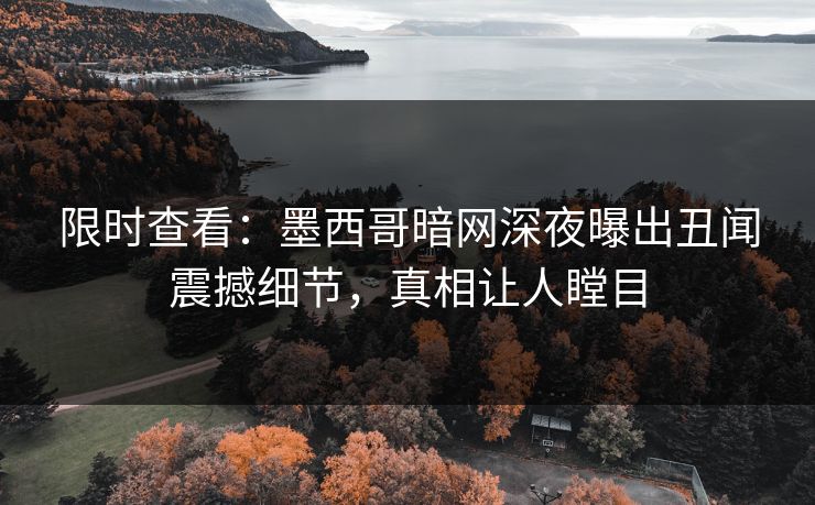 限时查看：墨西哥暗网深夜曝出丑闻震撼细节，真相让人瞠目