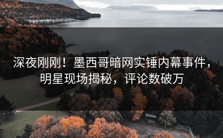 深夜刚刚！墨西哥暗网实锤内幕事件，明星现场揭秘，评论数破万