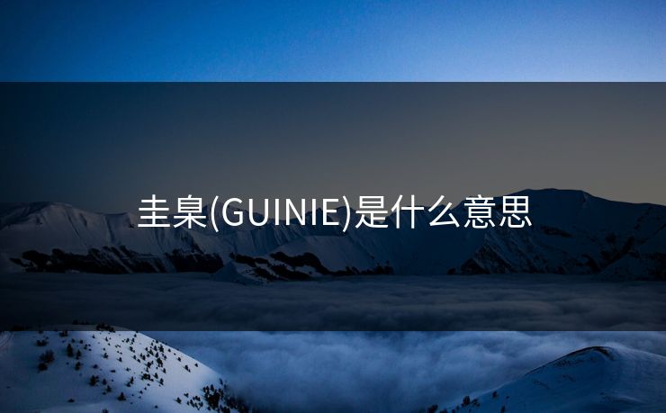 圭臬(GUINIE)是什么意思