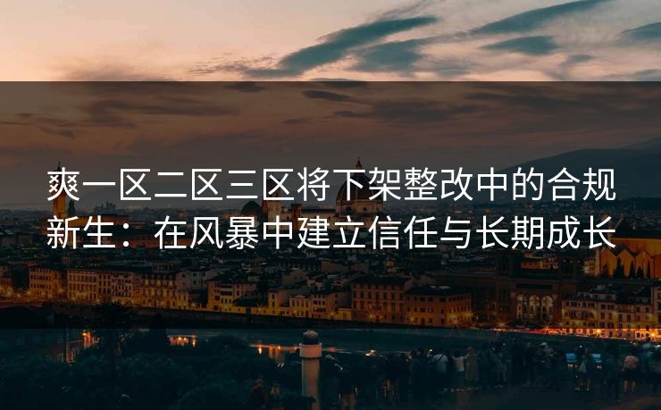 爽一区二区三区将下架整改中的合规新生：在风暴中建立信任与长期成长
