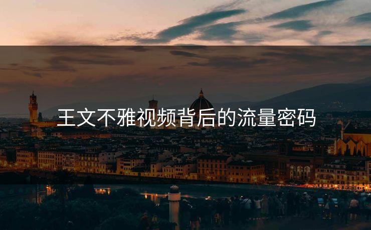 王文不雅视频背后的流量密码