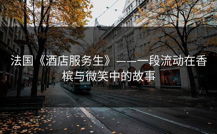 法国《酒店服务生》——一段流动在香槟与微笑中的故事